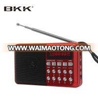 MP3 music player with FM Radio (KK66)